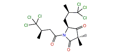 Dysidamide H
